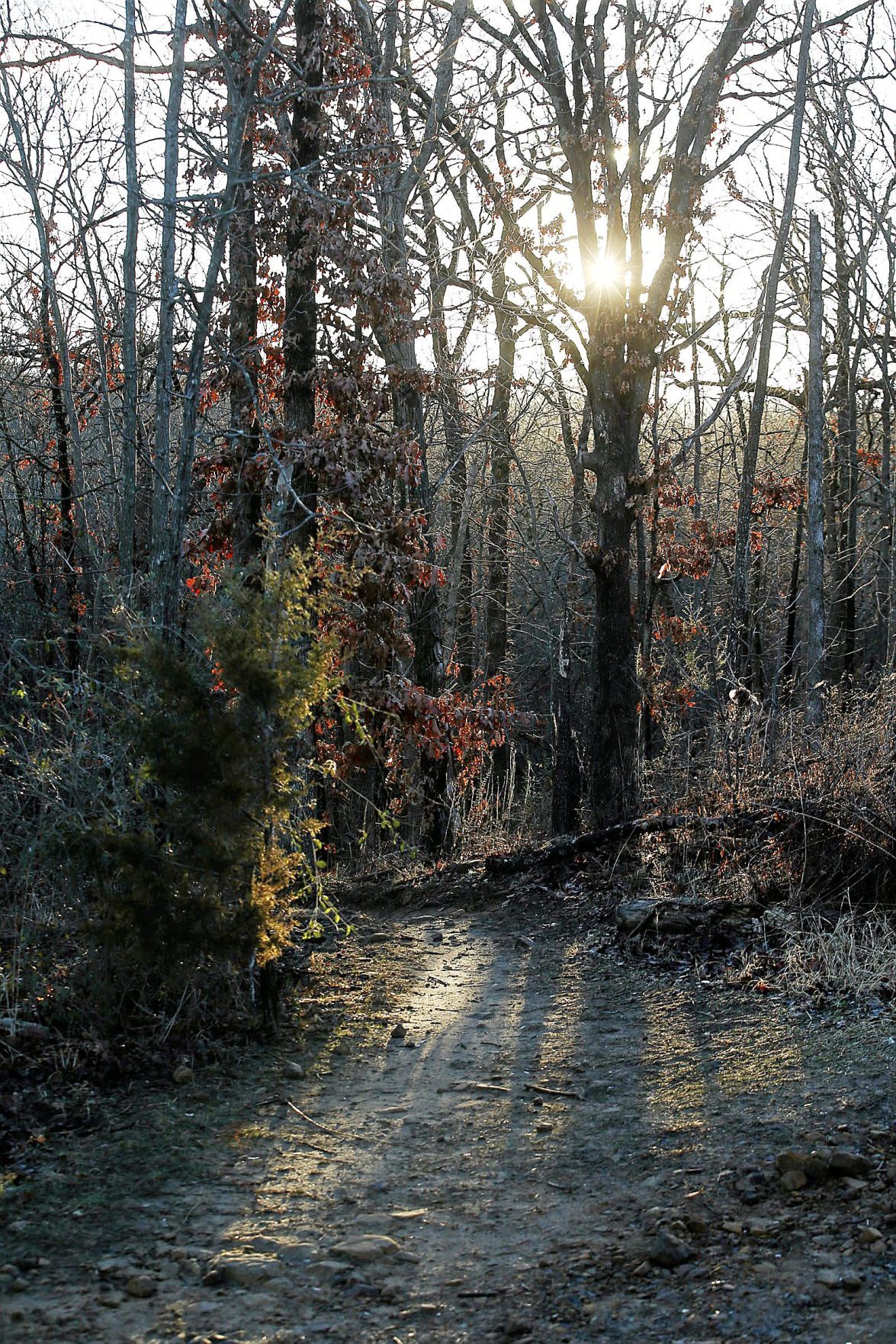Turkey Mountain
